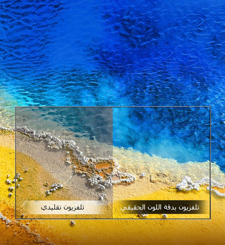 دقة اللون الحقيقي2