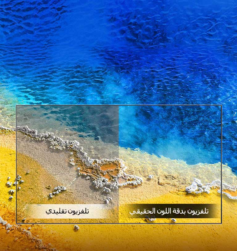 دقة اللون الحقيقي