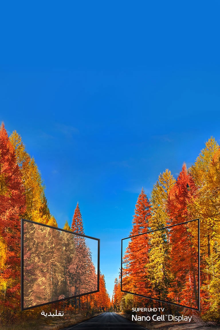 الكشف عن حقيقة الألوان في التلفزيون<br>2