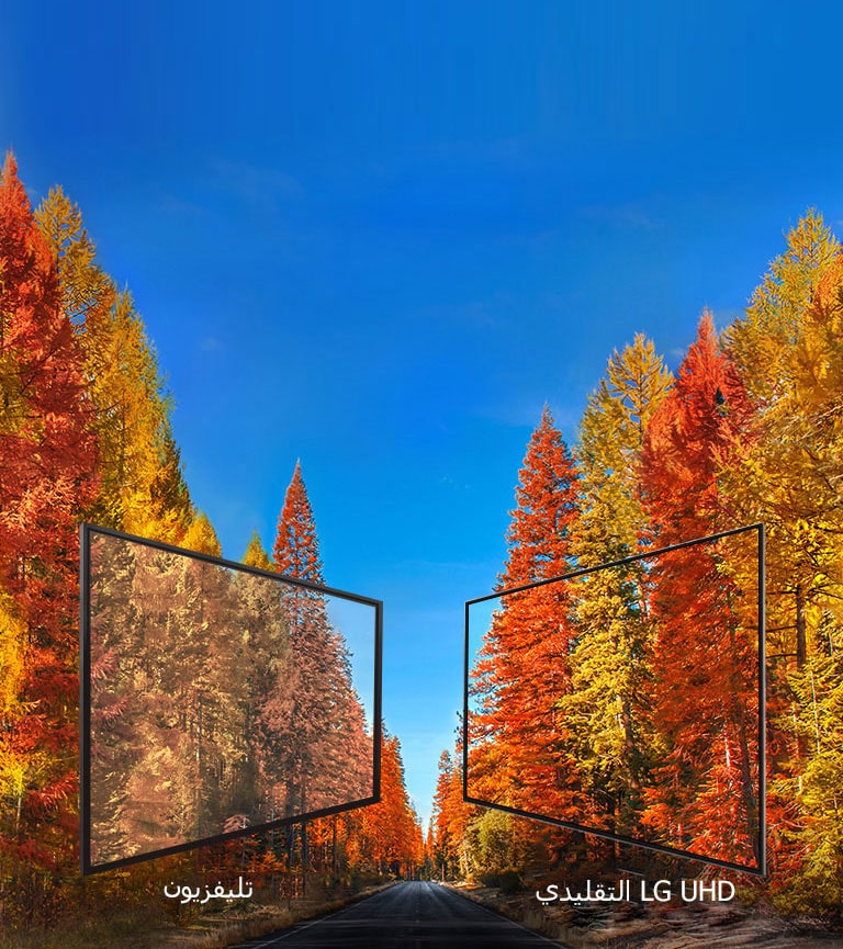 صورًا متناسقة من أي زاوية<br>2