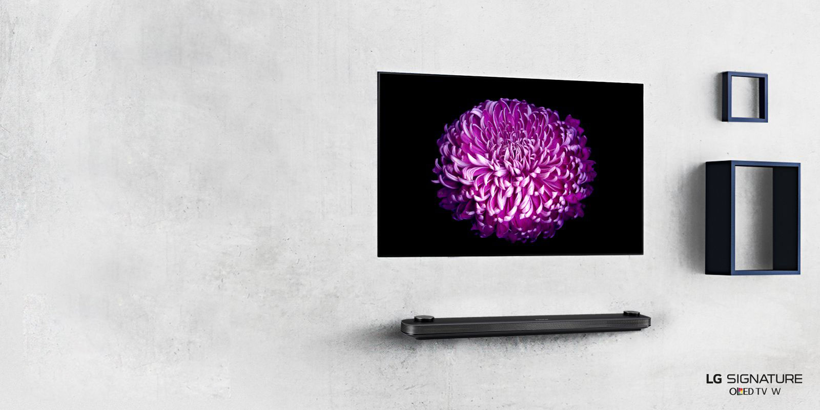 يستمر تلفاز OLED من إل جي بحصد الجوائز والأوسمة