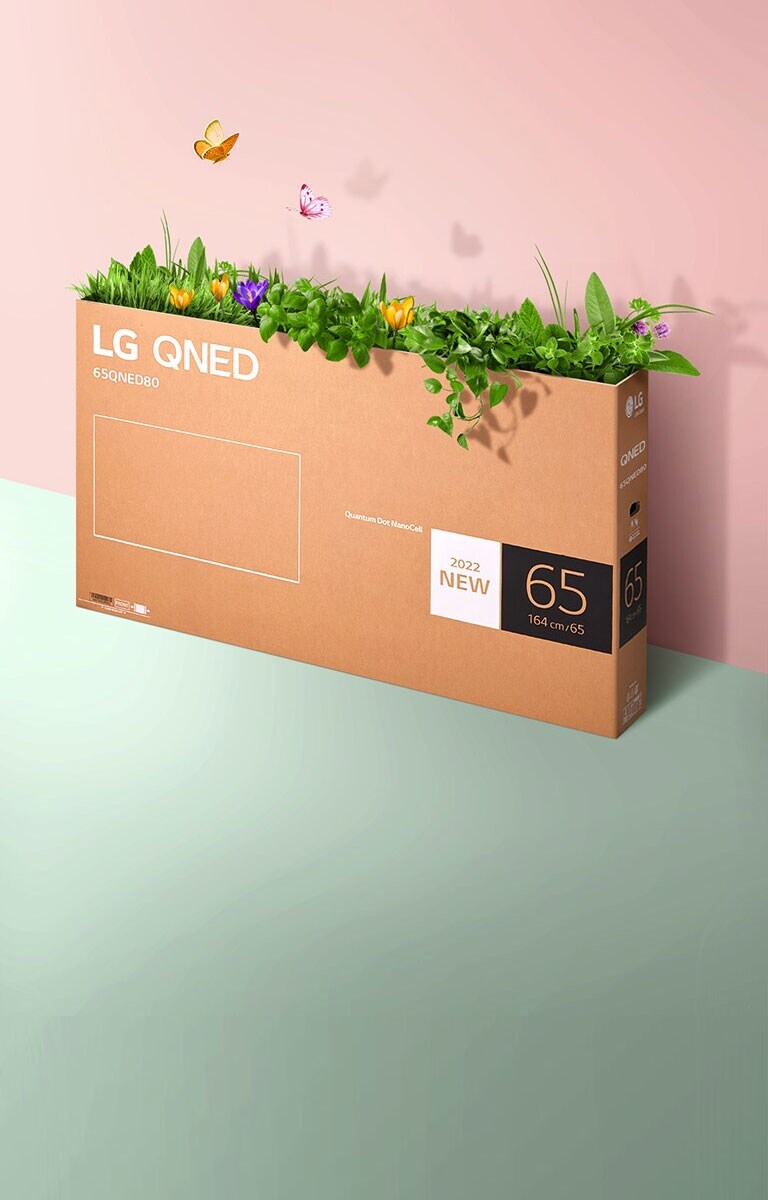 مشهد يوضح أحد صناديق التغليف الخاصة بتلفزيون QNED على خلفية وردية وخضراء مع ظهور أعشاب نامية وفراشات تخرج من الداخل. 