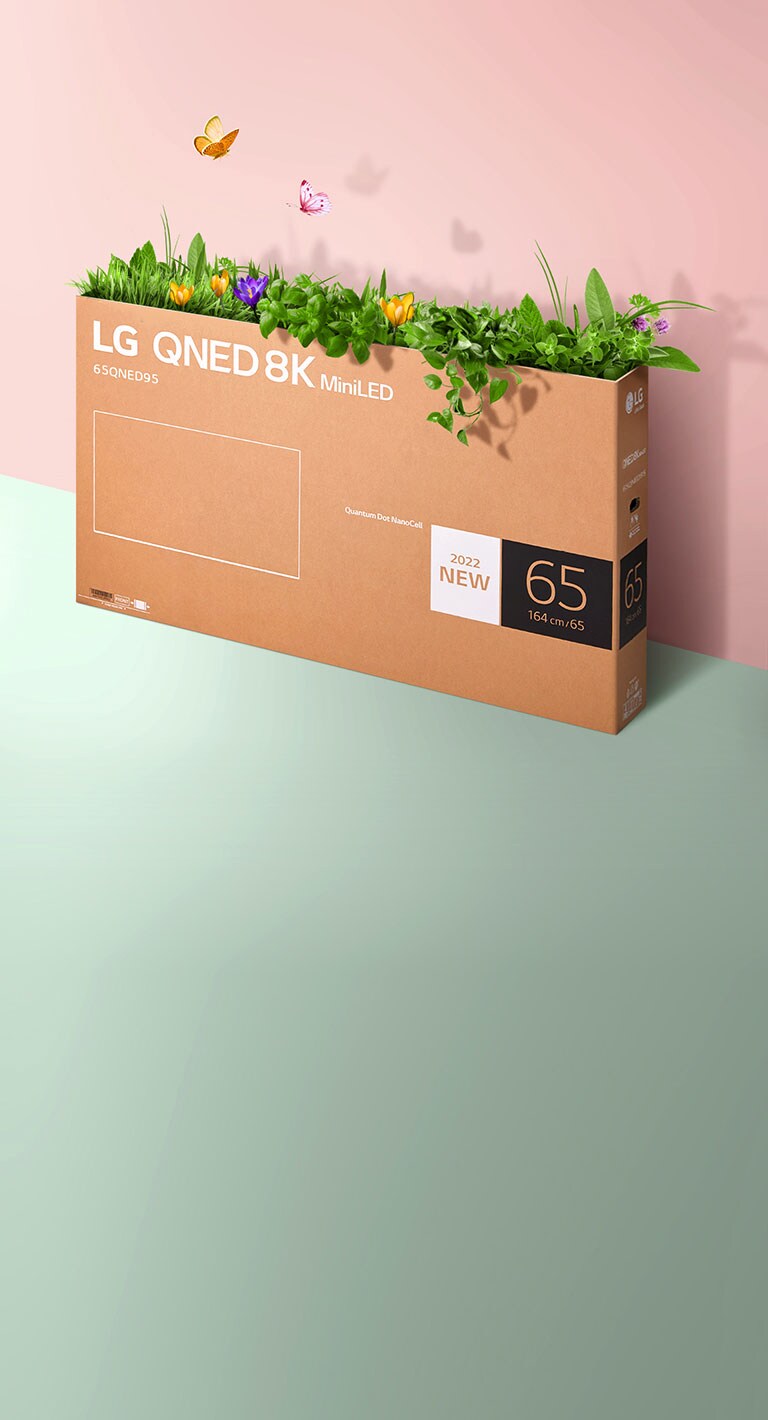 مشهد يوضح أحد صناديق التغليف الخاصة بتلفزيون QNED على خلفية وردية وخضراء مع ظهور أعشاب نامية وفراشات تخرج من الداخل. 