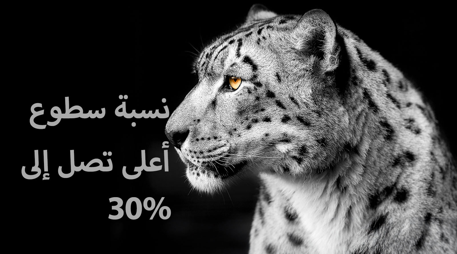 نمر أبيض يظهر جانب وجهه على الجانب الأيسر من الصورة. تظهر الكلمات "نسبة سطوع أعلى تصل إلى 30%" على اليسار.