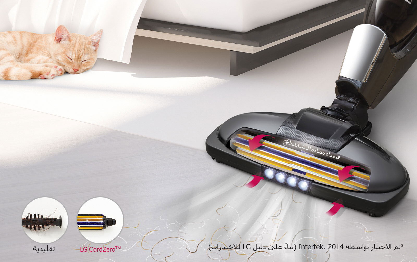 ™Anti-Tangle Brush1