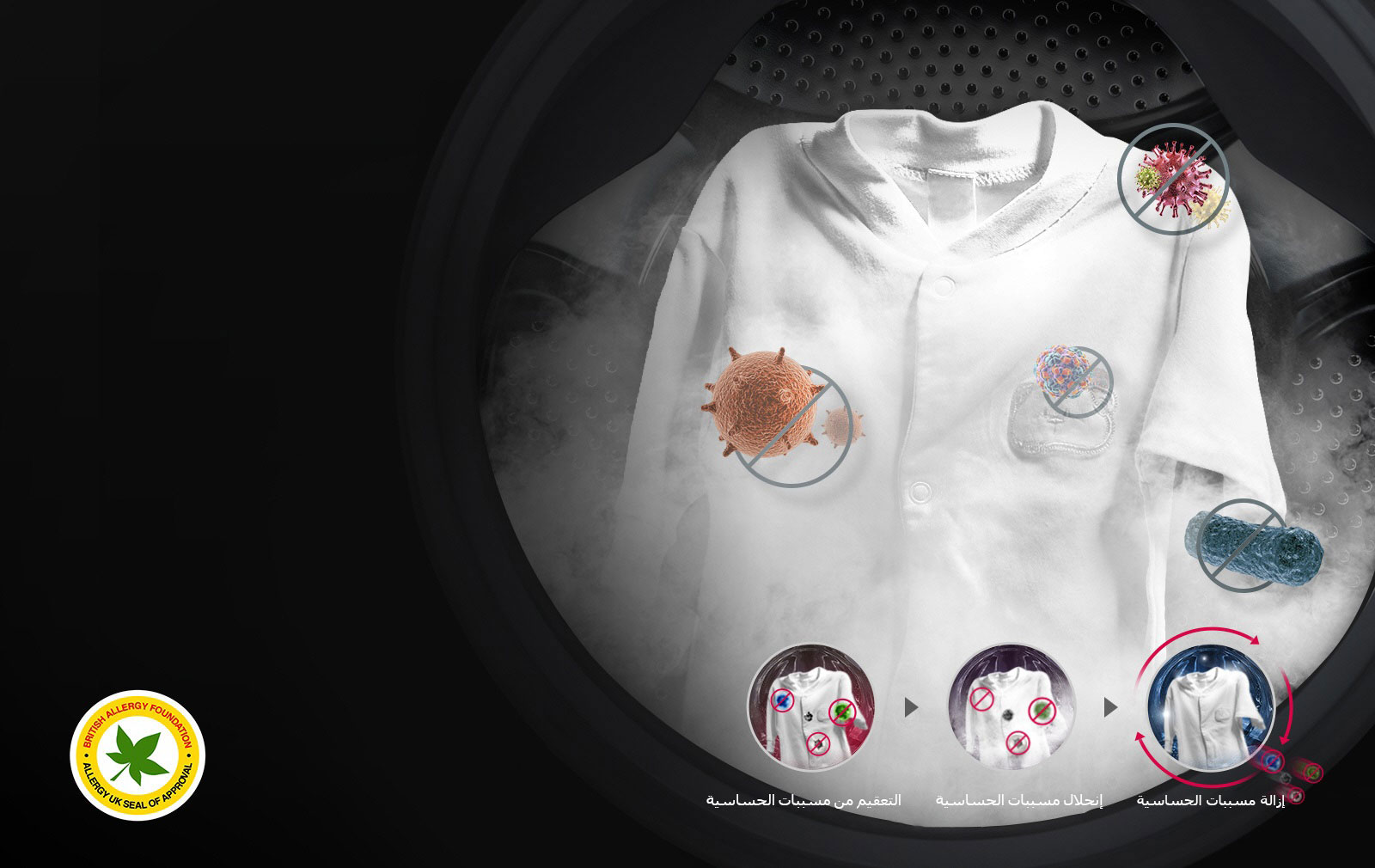 القضاء على مسببات الحساسية بإستخدام قوة البخار1