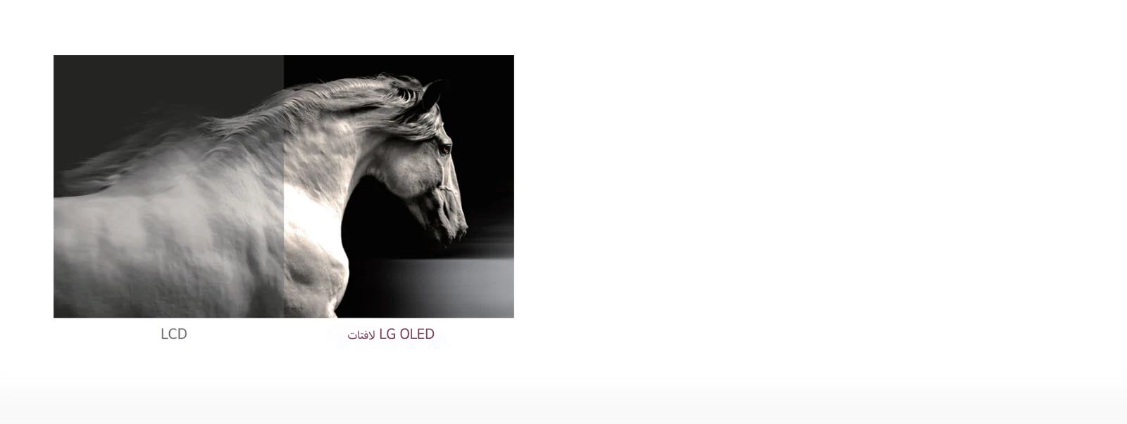 لون أسود مثالي1