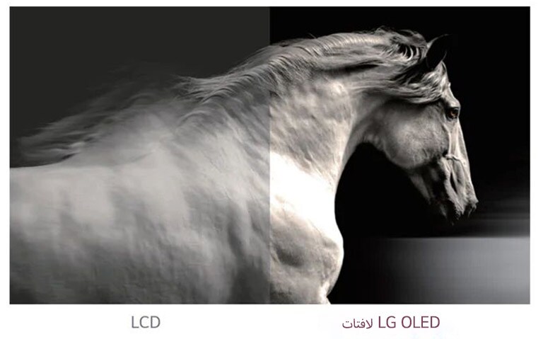 لون أسود مثالي2