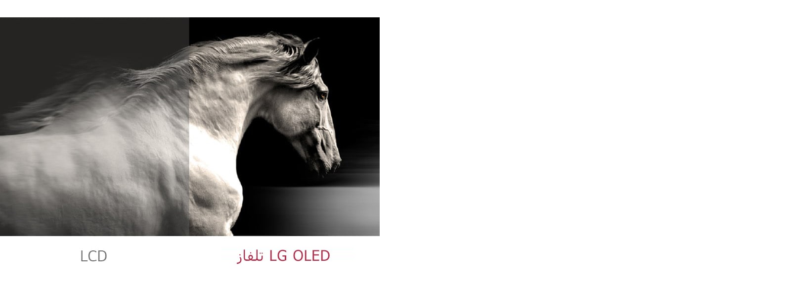 تُظهر لافتات OLED من إل جي تباينًا أفضل بين الأسود والأبيض مقارنة بشاشة LCD العادية.