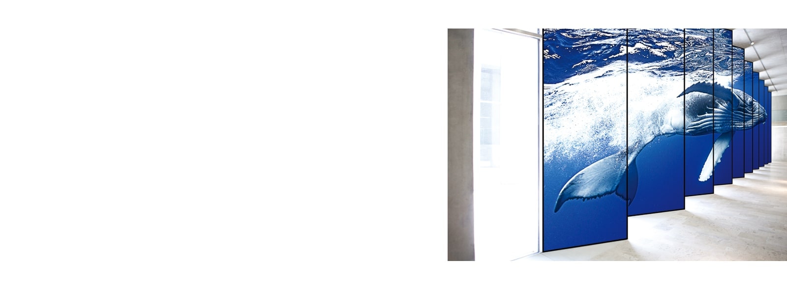 صور يظهر بها العديد من الشاشات الطويلة المتجانبة رأسيًا لإظهار محتوى واحد لزيادة الانغماس.