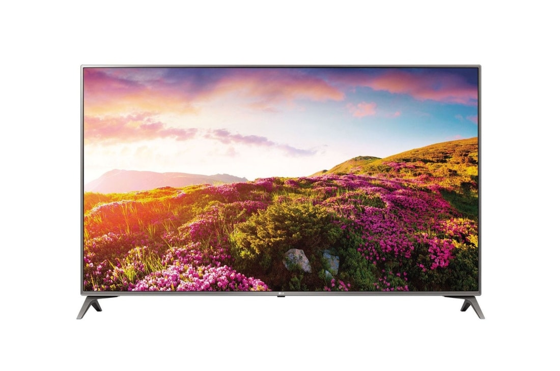 LG تلفاز تجاري فائق الدقة مع ميزة ذكية أساسية, 65UV340C