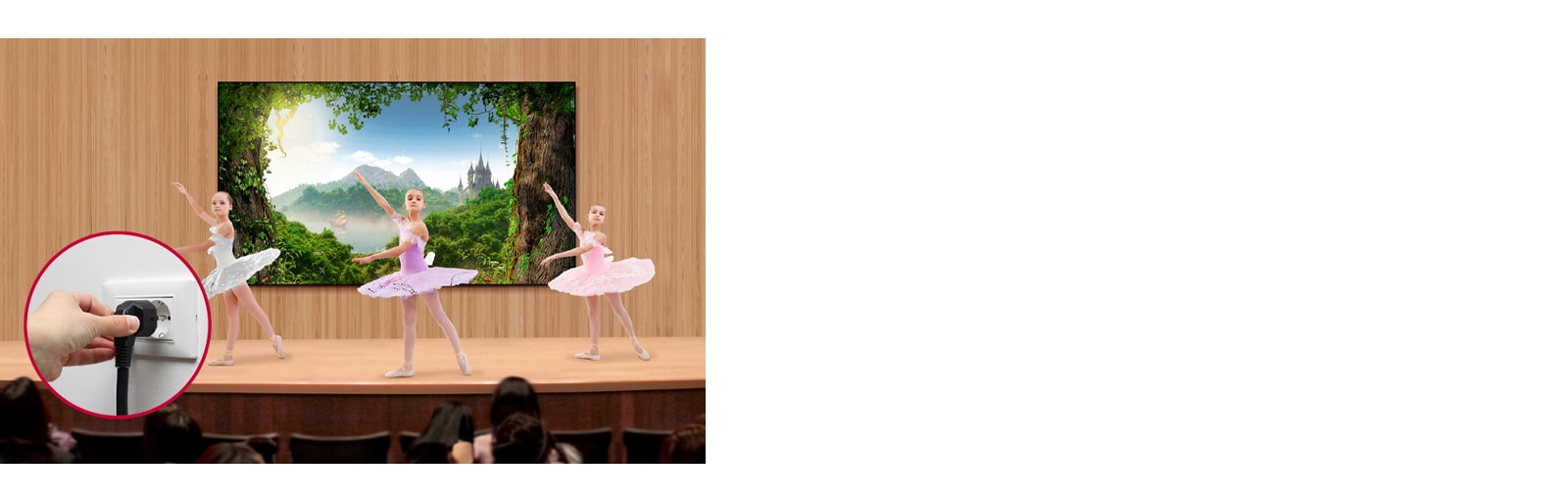 تتميز سلسلة LAPA ببساطة التوصيل بمصدر طاقة، وتُظهر الصورة التالية جزء وصلة الطاقة.