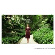 LG لافتات LED فائقة النحافة للأماكن المغلقة بسطوع 800 شمعة, صورة أمامية مع صورة ملء الفراغات, LSCC015-GZ, thumbnail 1