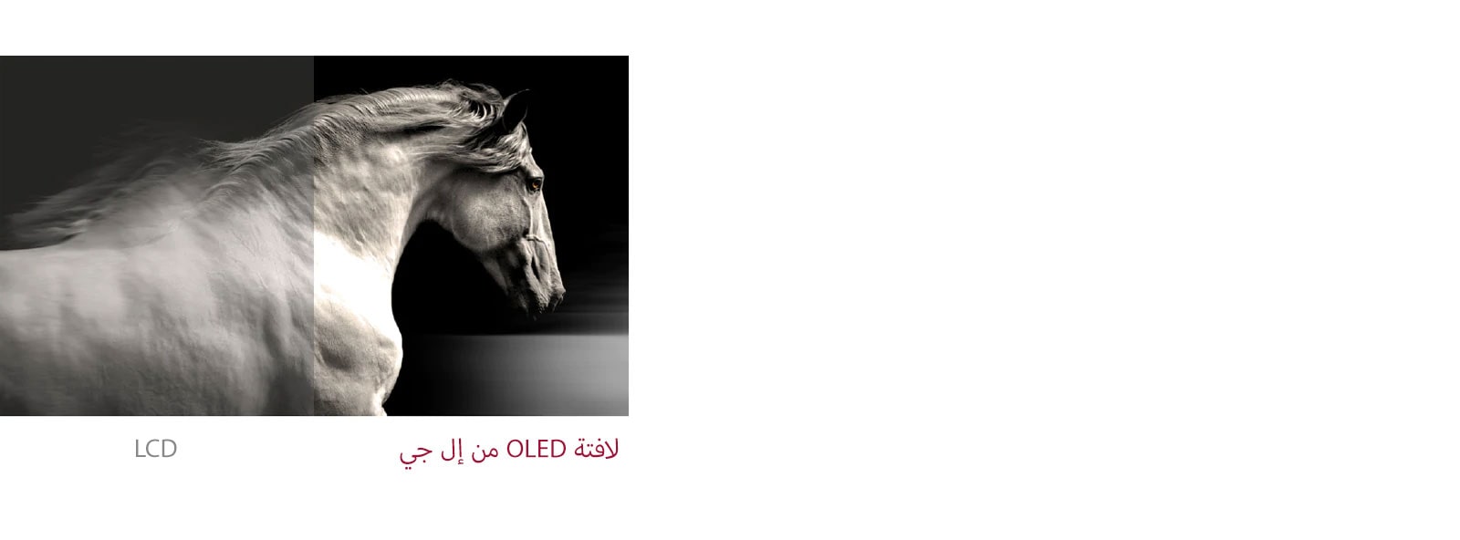 تُظهر لافتات OLED من إل جي تباينًا أفضل بين الأسود والأبيض مقارنة بشاشة LCD العادية.