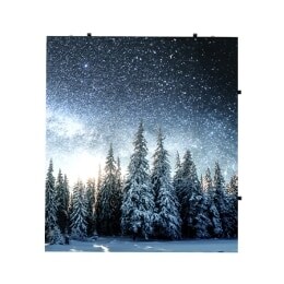 صورة أمامية حية2