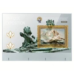 لافتات OLED الشفافة2