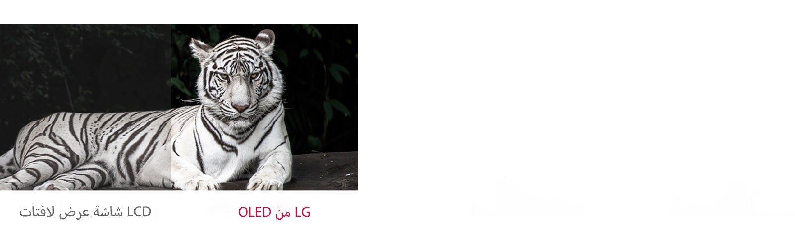 يتباين اللونان الأسود والأبيض في شاشات عرض اللافتات OLED على نحو أفضل من شاشة LCD عادية.
