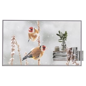 مظهر أمامي مع صورة ملء الفراغات1