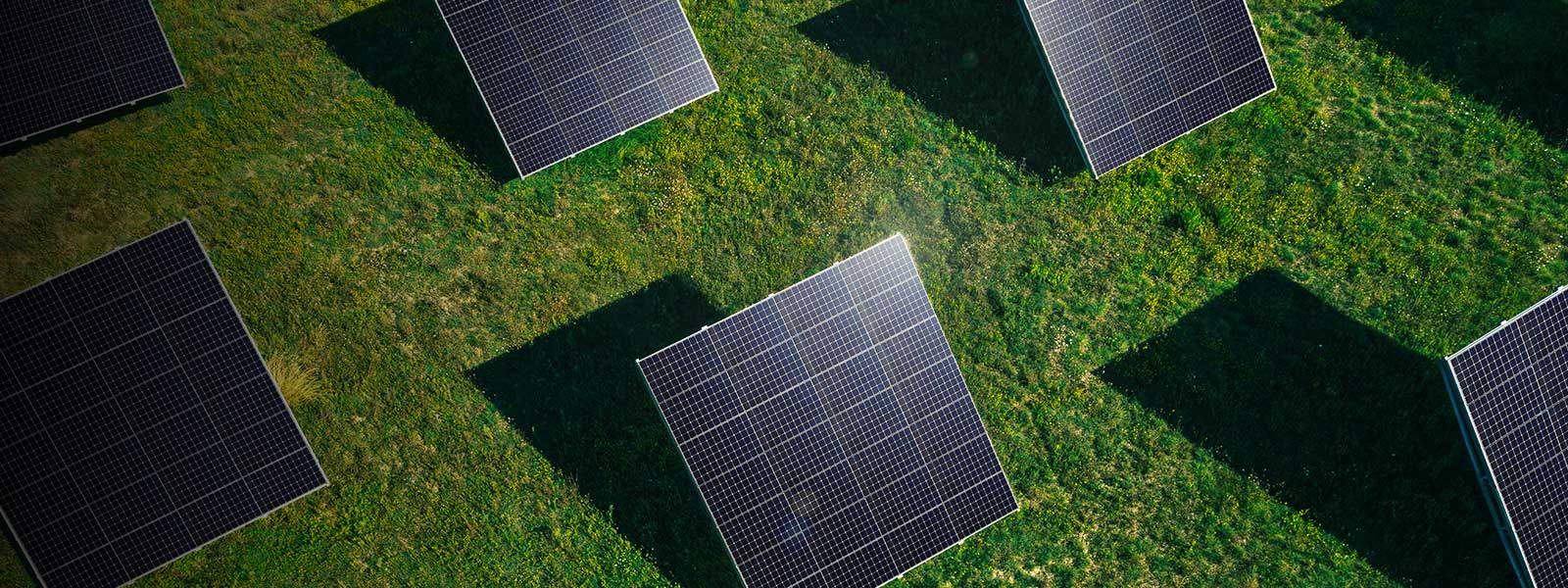 صورة توضح ألواح NeON R من إل جي مثبتة بمكان واسع.