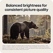 LG شاشة LG الذكية AI U5s IPS مقاس 27 بوصة ، Full HD للبث مع webOS, تعمل Dynamic Tone Mapping على شاشة LG Smart Monitor على موازنة السطوع والتباين تلقائيًا للحصول على مشاهدة مستقرة., 27U511SB-W, thumbnail 7