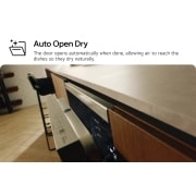 LG غسالة أطباق QuadWash™ بسعة 14 مكان تخزين باللون الأسود غير اللامع مع تقنية TrueSteam™ والتجفيف الحراري وAuto Open Dry., DFC287HMS, thumbnail 5