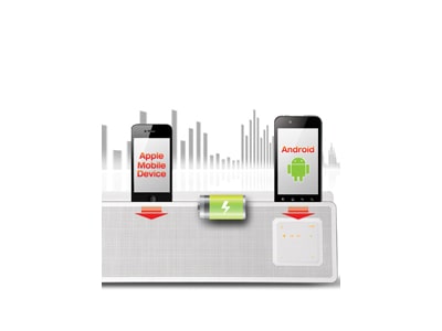 Dual Dock Charge & Play