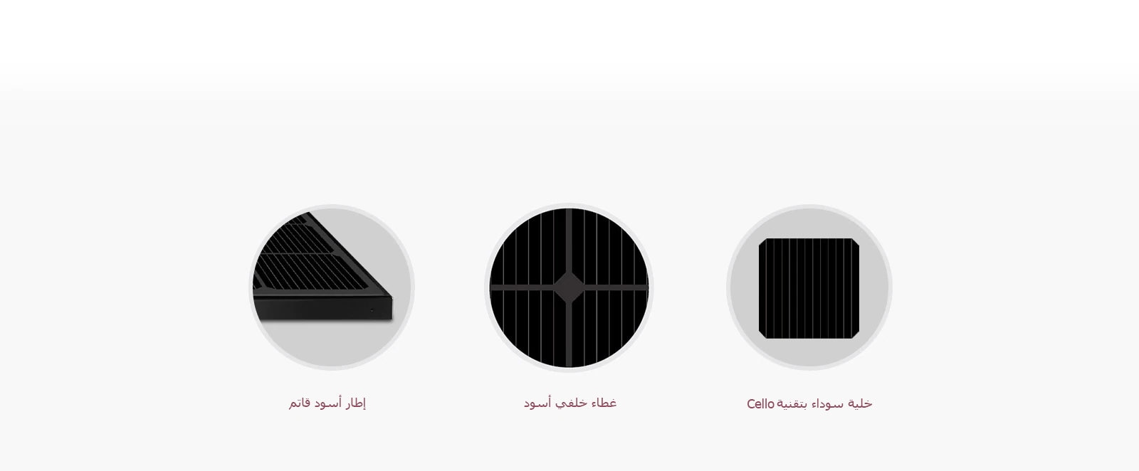 03_Aesthetic-Black-Module_Global_PC_1564146089147