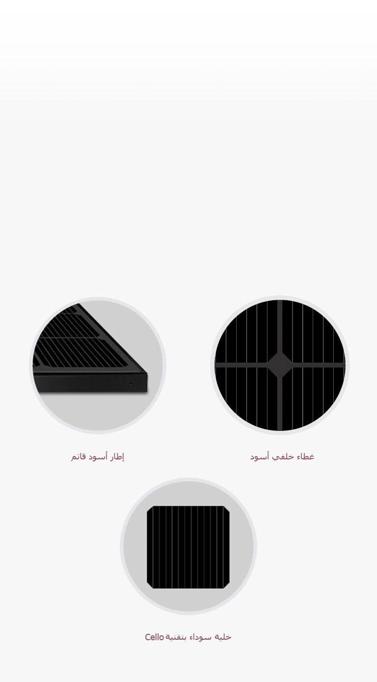 03_Aesthetic-Black-Module_Global_PC_1564146089147