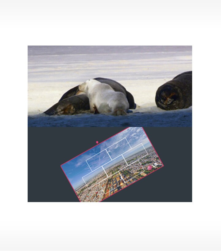 Screen image of when editing media contents position in SuperSign Media editor