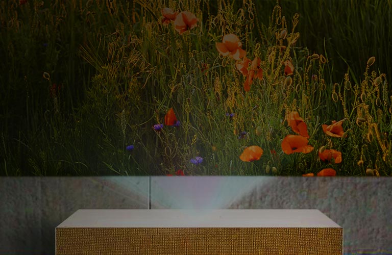 معزّز السطوع II.