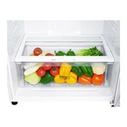 LG ثلاجة بمجمدة علوية، أبيض ناصع، ضاغط طولي عاكس، تقنية ™⁺DoorCooling، تقنية ™+HygieneFRESH، تقنية ThinQ, GN-C660HQCU, thumbnail 5