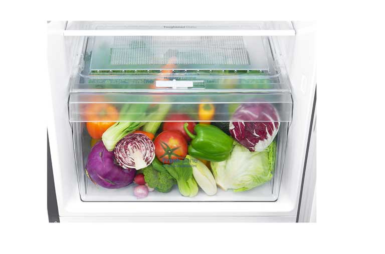 LG ثلاجة بمجمدة علوية، ضاغط طولي عاكس، تقنية ™+DoorCooling، تدفق هواء متعدد, GR-C362RLBN, thumbnail 14