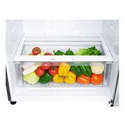 LG ثلاجة بمجمدة علوية، ضاغط طولي عاكس،لون الجرافيت الداكن ، تقنية ™Door Cooling، تدفق هواء متعدد, GN-C782HQCU, GN-C782HQCU, thumbnail 10