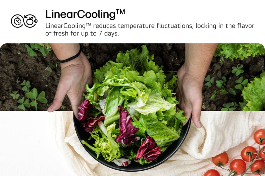 LG ثلاجة 619 لتر متعددة الأبواب بتصميم أنيق من الزجاج الأسود, صورة لخاصية Linear Cooling, GR-B30FFGPB, thumbnail 3