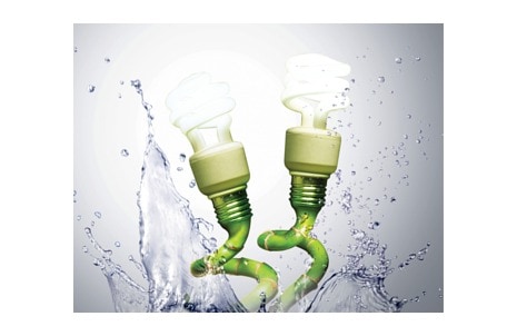 صديقة لكوكبنا