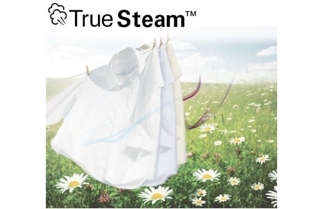 خاصية البخار  الحقيقي