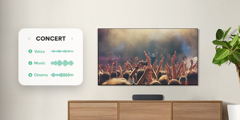 التلفزيون على الحائط. البرامج التلفزيونية وفيها يصفق الناس في الحفلة الموسيقية، وتتحول القناة إلى مشهد سينمائي مع سيارة تقودها في الغابة، وتتحول القناة مرة أخرى إلى "الأخبار" ويتحدث أحد المذيعين. يوجد مكبر الصوت ساوند بار من إل جي أسفل التلفزيون مباشرةً على رف خشبي.