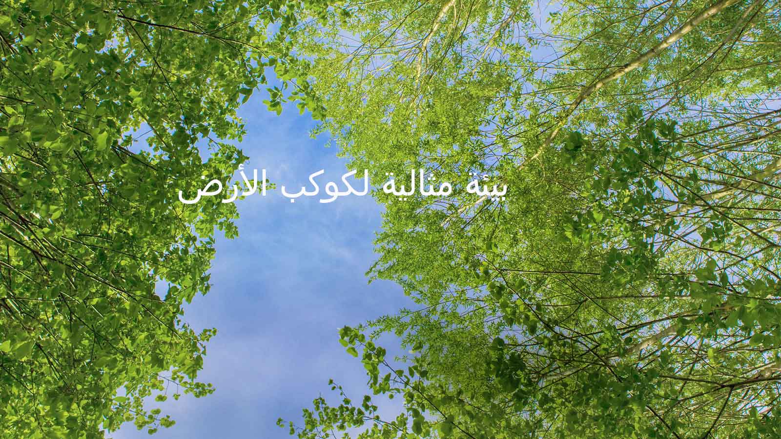 بيئة مثالية لكوكب الأرض