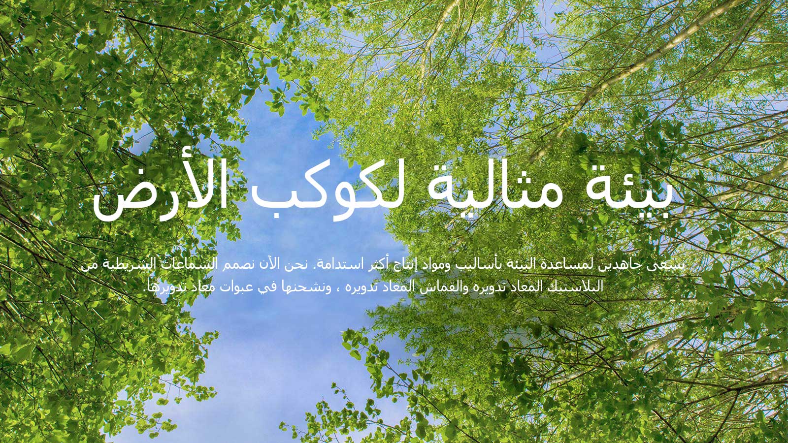 تظهر صورة خضراء مليئة بالأشجار المورقة الغنية وسماء في المنتصف