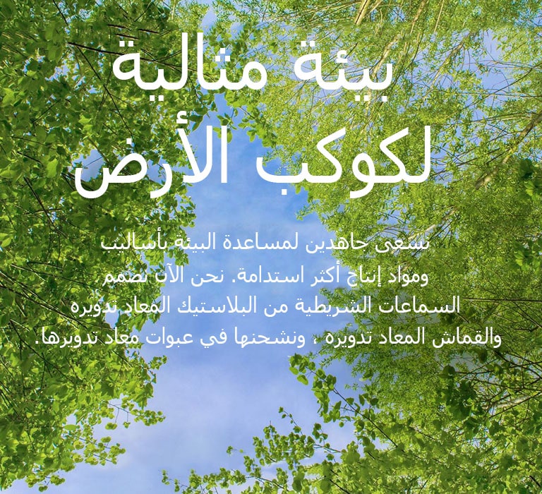 تظهر صورة خضراء مليئة بالأشجار المورقة الغنية وسماء في المنتصف