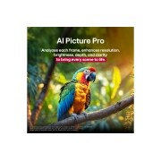 LG تلفزيون LG QNED evo AI QNED86 الذكي مقاس 65 بوصة بدقة 4K 120Hz ومدعوم بجهاز التحكم AI Magic remote وواجهة webOS25 طراز عام 2025 , ببغاء على فرع شجرة بألوان زاهية. يشير العنوان إلى كيفية قيام LG Al Picture Pro بتحسينات بصرية مذهلة لدقة المشهد وسطوعه وعمقه ووضوحه., 65QNED86A6A, thumbnail 8