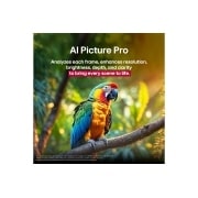 LG تلفزيون LG QNED evo AI QNED86 الذكي مقاس 65 بوصة بدقة 4K 120Hz ومدعوم بجهاز التحكم AI Magic remote وواجهة webOS25 طراز عام 2025 , ببغاء على فرع شجرة بألوان زاهية. يشير العنوان إلى كيفية قيام LG Al Picture Pro بتحسينات بصرية مذهلة لدقة المشهد وسطوعه وعمقه ووضوحه., 65QNED86ASA, thumbnail 8