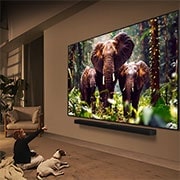 LG تلفزيون LG QNED evo AI QNED86 الذكي مقاس 100 بوصة بدقة 4K 120Hz ومدعوم بجهاز التحكم AI Magic remote وواجهة webOS25 طراز عام 2025 , يتم تشغيل محتوى خيال علمي على شاشة تلفزيون LG QNED TV. على الشاشة توجد واجهة AI Chatbot. أرسل المستخدم رسالة إلى روبوت الدردشة قائلاً إن الشاشة مظلمة للغاية. قدم روبوت الدردشة حلولاً للطلب. المشهد بأك, 100QNED86AS, thumbnail 14