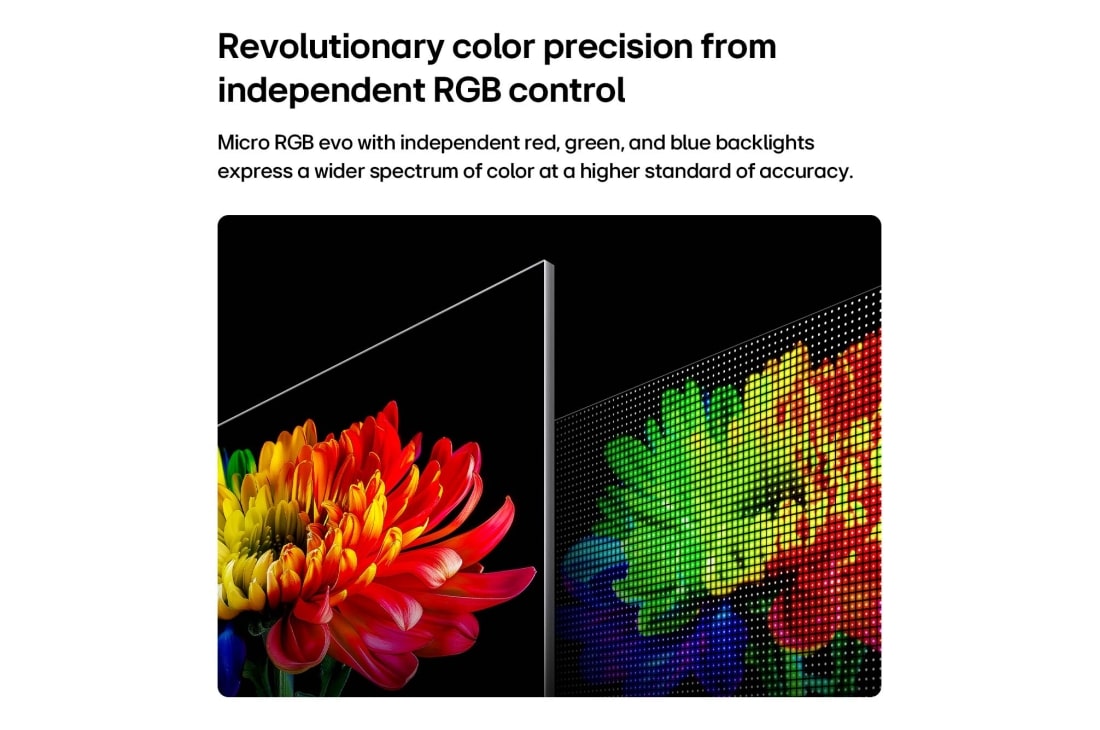 LG تلفزيون LG Micro RGB evo AI MRGB95 الذكي 4K مقاس 75 بوصة، تغطية ألوان 100% ومعدل تحديث 330Hz, يعرض LG Micro RGB evo AI MRGB95، المدعوم بتقنية RGB Primary Color Ultra، صورة زهرة على الشاشة، مع ضوء أحمر وأخضر وأزرق يتم التحكم فيه بدقة من محركات Micro RGB متميزة للحصول على ألوان متوازنة وتباين دق, 75MRGB95B6A, thumbnail 5