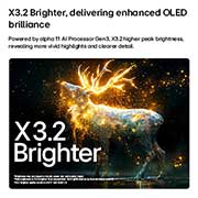 LG تلفزيون LG OLED evo Al C6 الذكي 4K مقاس 83 بوصة، سطوع وألوان مثالية مع تجربة ألعاب سلسة وذكاء اصطناعي, تُظهر شاشة LG OLED evo AI C6 مع Brightness Booster Pro مشهدًا مظلمًا حيث تُظهر الجسيمات المتوهجة المحيطة بظل الغزال، مما يوفر ذروة سطوع أكثر سطوعًا تصل إلى 3.2 ضعف مع إضاءة أعلى وتفاصيل أكثر وضوحًا., OLED83C66LA, thumbnail 4