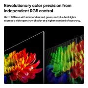LG تلفزيون LG Micro RGB evo AI MRGB95 الذكي 4K مقاس 86 بوصة، ألوان دقيقة وتحديث 330Hz سلس 2026, يعرض LG Micro RGB evo AI MRGB95، المدعوم بتقنية RGB Primary Color Ultra، صورة زهرة على الشاشة، مع ضوء أحمر وأخضر وأزرق يتم التحكم فيه بدقة من محركات Micro RGB متميزة للحصول على ألوان متوازنة وتباين دق, 86MRGB95B6A, thumbnail 5