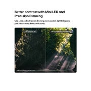 LG تلفزيون LG QNED evo AI QNED84 Mini LED 4K الذكي مقاس 75 بوصة، إصدار 2026  , يُبرز تلفزيون LG QNED evo AI Mini LED QNED84 تقنية Mini LED مع Precision Dimming من خلال مشهد غابة منقسم، حيث تُظهر المقارنة مع LED التقليدي لونًا أسود أعمق وتباينًا أكثر دقة بينما تتسلل أشعة الشمس بي, 75QNED84B6T, thumbnail 5