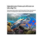 LG تلفزيون LG QNED evo AI QNED84 Mini LED 4K الذكي مقاس 75 بوصة، إصدار 2026  , يُبرز تلفزيون LG QNED evo AI Mini LED QNED84 المزود بميزة AI Picture Pro وتقنية Dynamic Tone Mapping Pro مشهدًا تحت الماء لسلحفاة بحرية تسبح فوق الشعاب المرجانية والأسماك، حيث يتعرّف الذكاء الاصطناعي , 75QNED84B6T, thumbnail 7