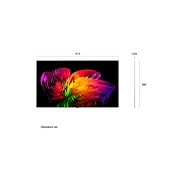 LG تلفزيون Wallpaper TV LG OLED evo AI W6 True Wireless 4K الذكي مقاس 77 بوصة، إصدار 2026, يُعرض LG OLED evo AI W6 من الأمام والجانب بشاشة مقاس 77 بوصة، وبعرض 1713 مم، وارتفاع كلي يبلغ 988 مم، وسُمك فائق النحافة يصل إلى 9.95 مم بدون الحامل., OLED77W66LA, thumbnail 3