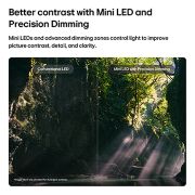 LG تلفزيون LG QNED evo AI QNED85 Mini LED 4K الذكي مقاس 75 بوصة، إصدار 2026, يُبرز تلفزيون LG QNED evo AI Mini LED QNED85 تقنية Mini LED مع Precision Dimming من خلال مشهد غابة منقسم، حيث تُظهر المقارنة مع LED التقليدي لونًا أسود أعمق وتباينًا أكثر دقة بينما تتسلل أشعة الشمس بي, 75QNED85B6T, thumbnail 5